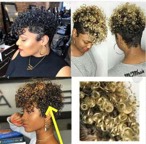 Women's Simple Rolls Short Synthetic Wigs